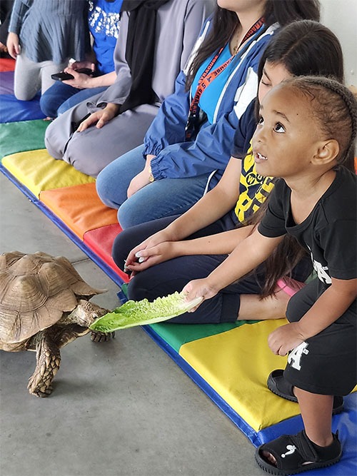 Thornton Has A Zoo: A Day of Discovery with Home-Base