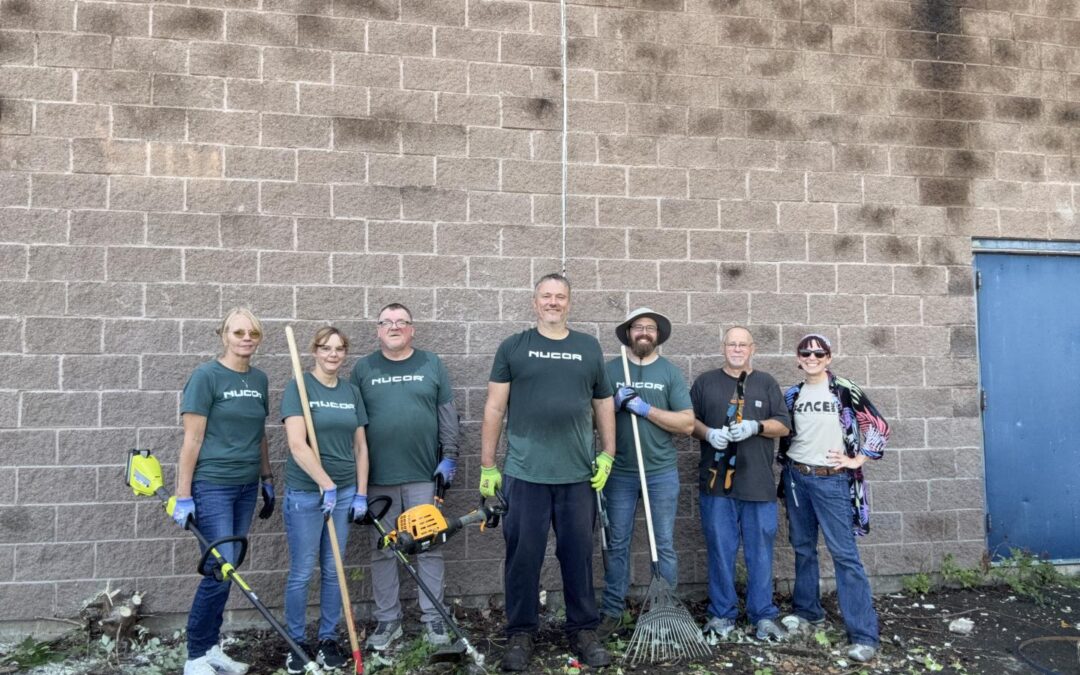 NUCOR Steel Auburn Back at Liverpool Head Start