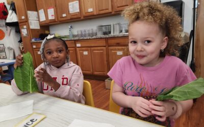 Healthy Food Exploration at Head Start