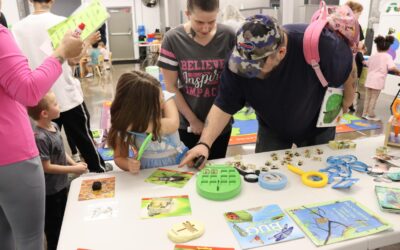 Interactive Learning Sparks Curiosity and Creativity