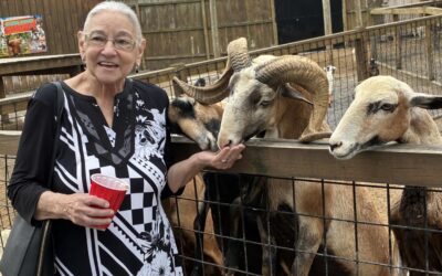 A Wild Day of Fun for Eastwood Seniors