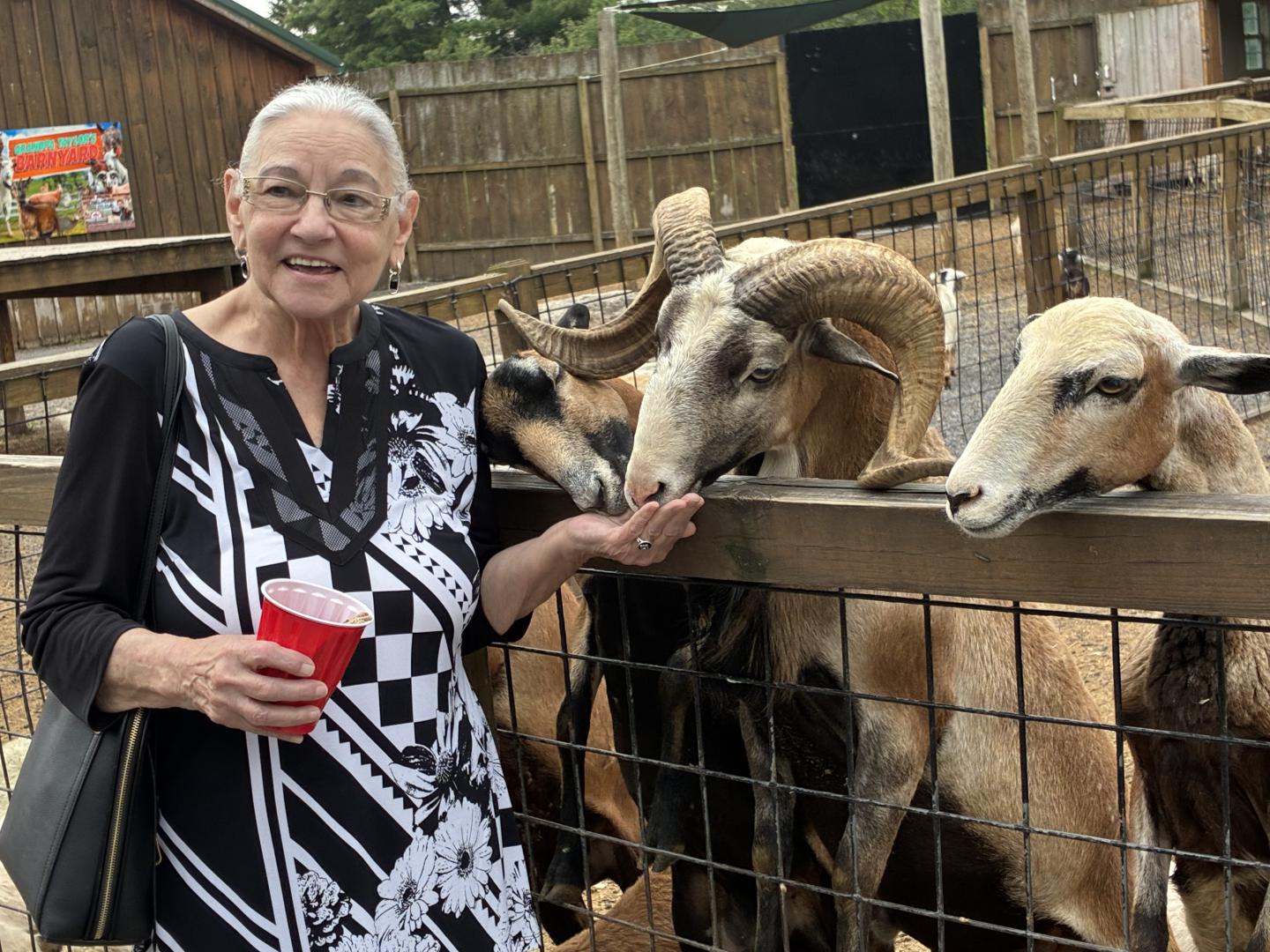A Wild Day of Fun for Eastwood Seniors Senior visit to the zoo
