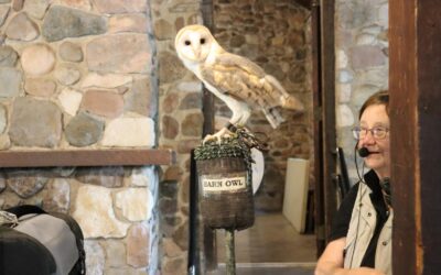 Let Me Be Great Explores Birds of Prey